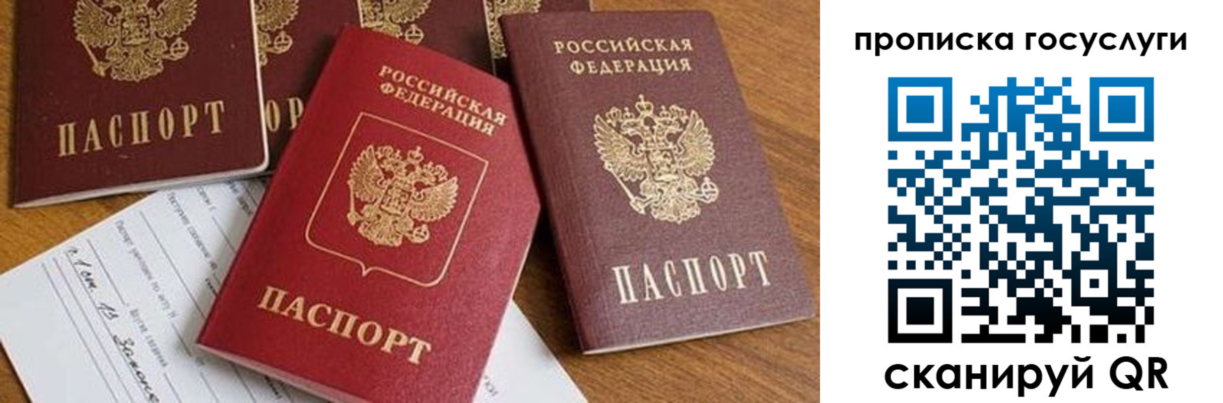 прописка ребенка в Амурской области